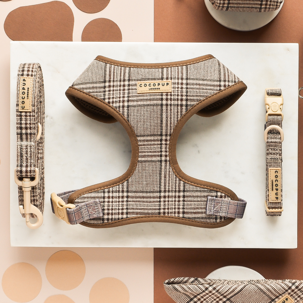 Harnais de cou réglable Pup Plaid