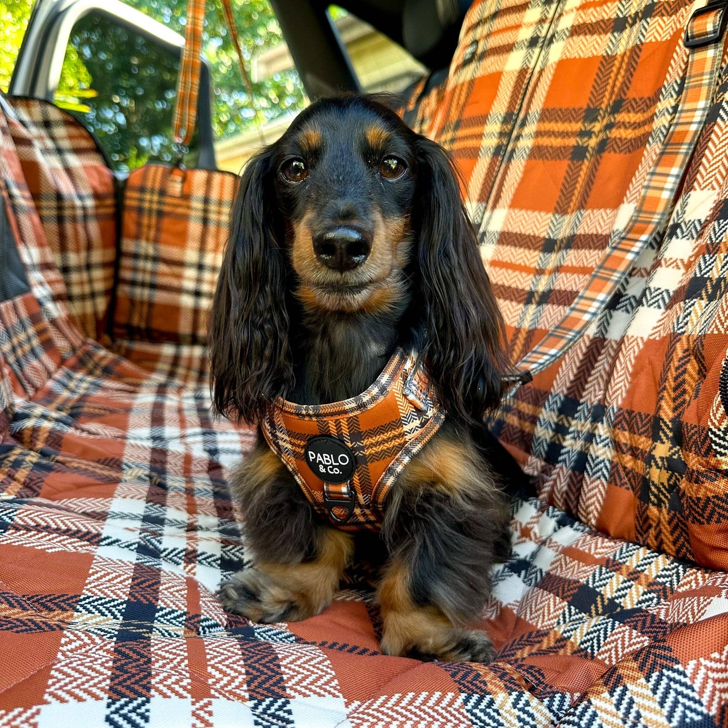 Plaid vintage : harnais réglable pour chien