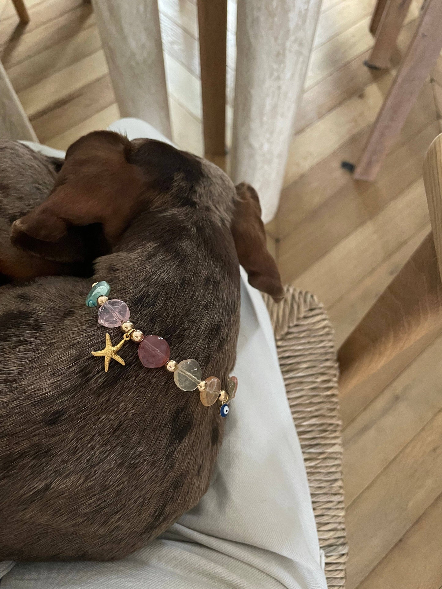 Collier de perles Calypso pour chiens et chats