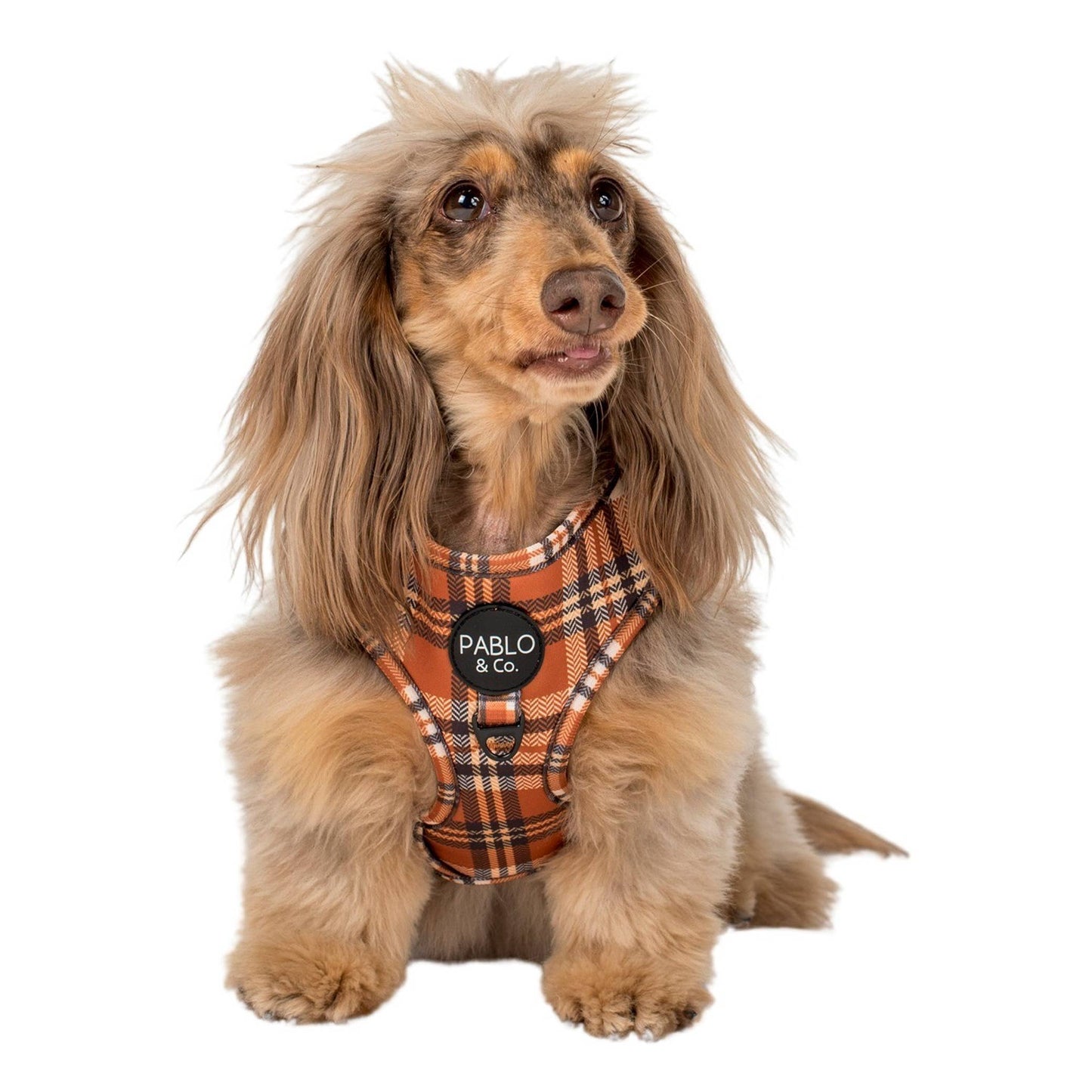 Plaid vintage : harnais réglable pour chien