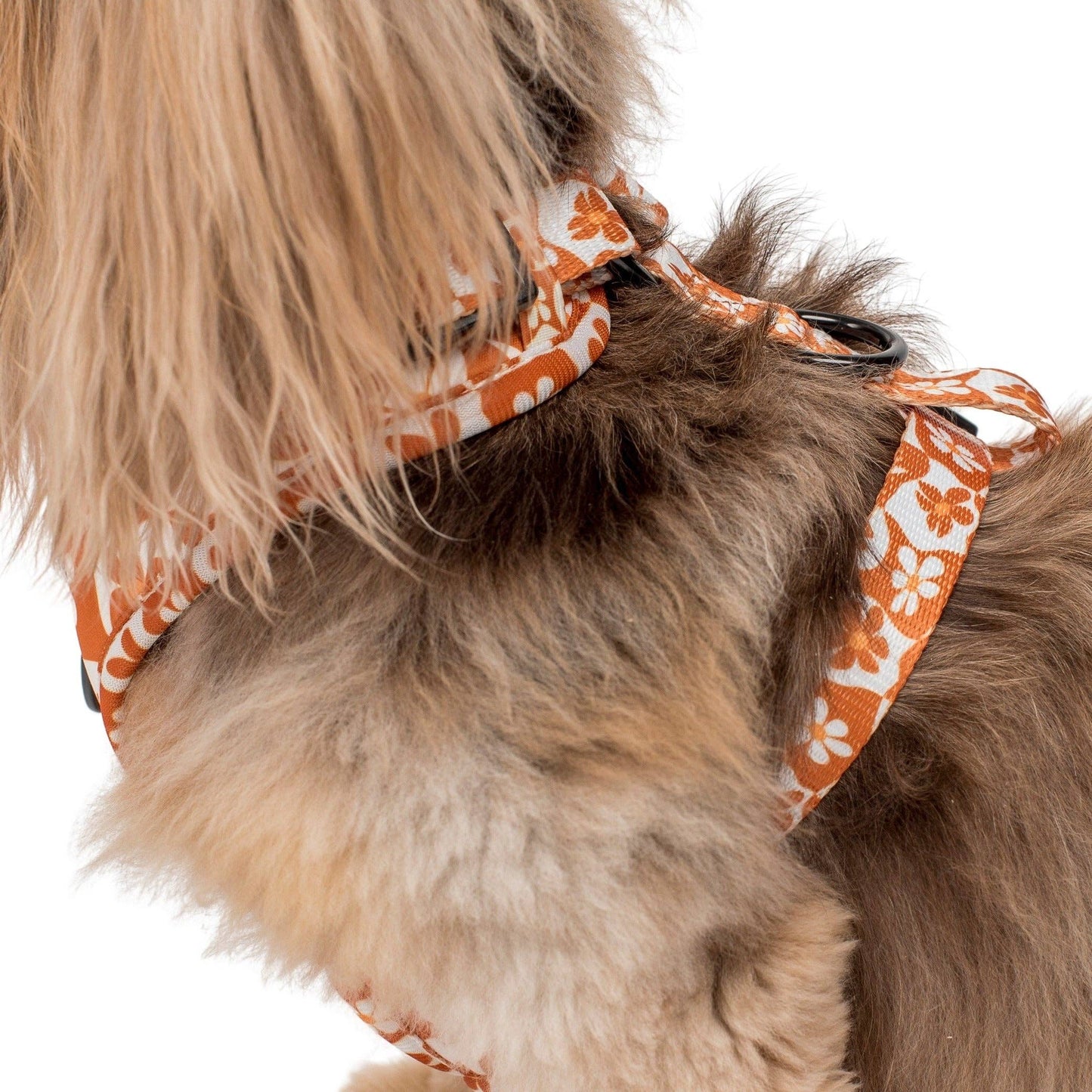 Retro Dazie : Harnais réglable pour chien