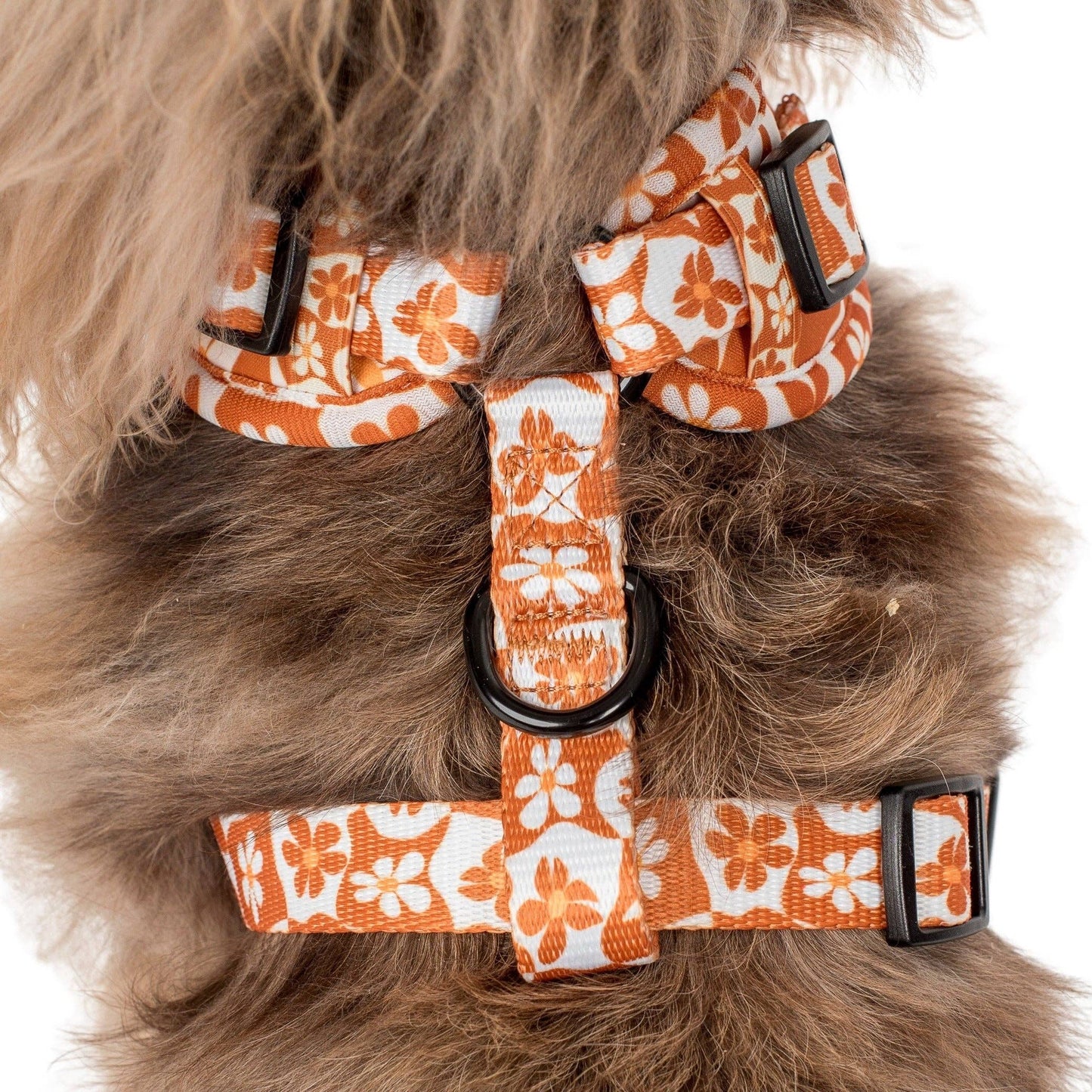 Retro Dazie : Harnais réglable pour chien