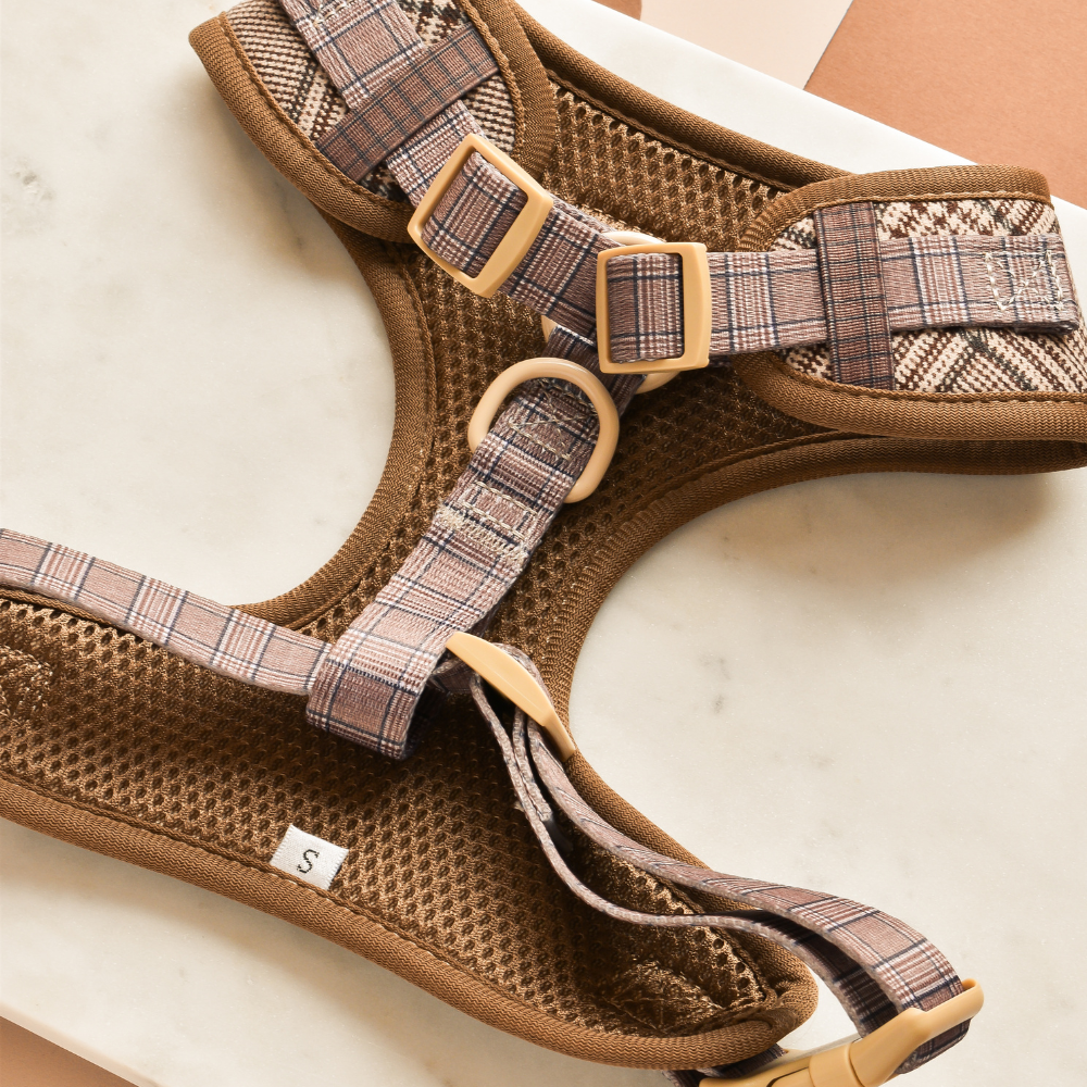 Harnais de cou réglable Pup Plaid