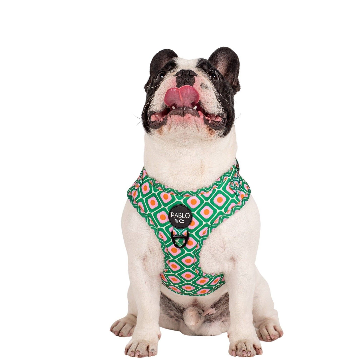 Style années 70 : harnais réglable pour chien