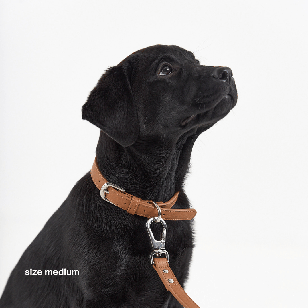 COLLIER - Marron