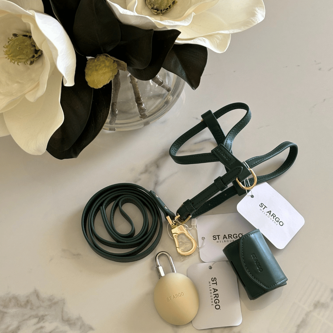 LAISSE - Vert bouteille