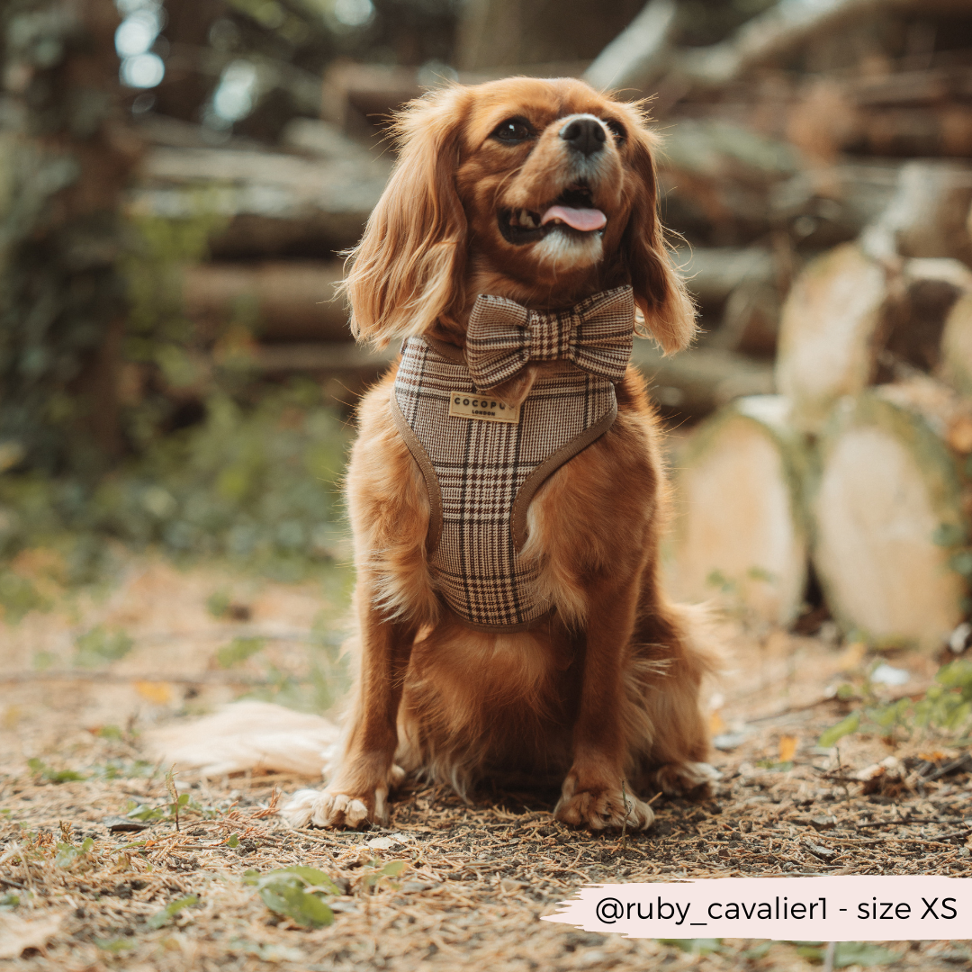 Harnais de cou réglable Pup Plaid