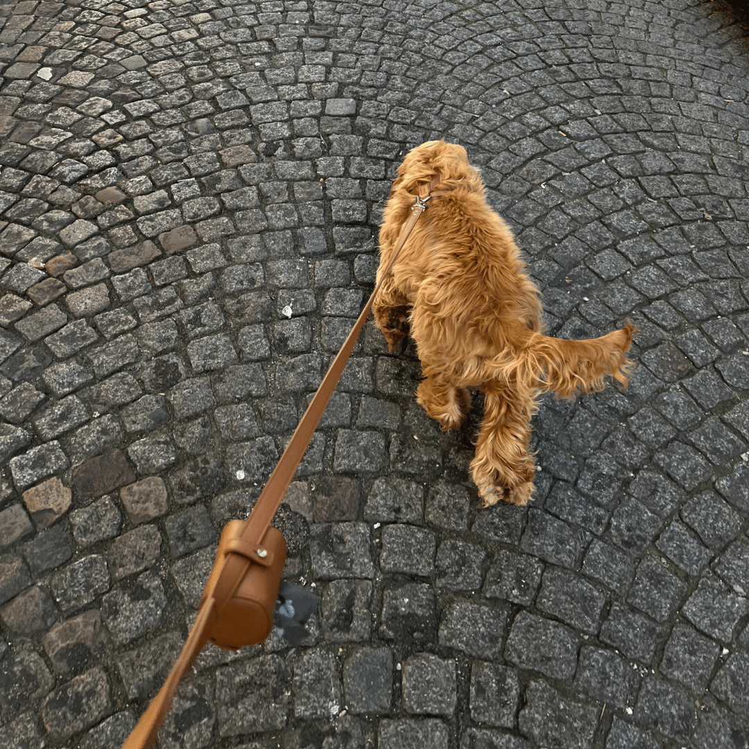 PORTE SAC À CROTTES - Marron