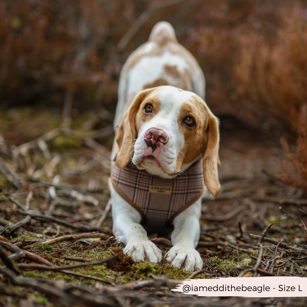 Harnais de cou réglable Pup Plaid