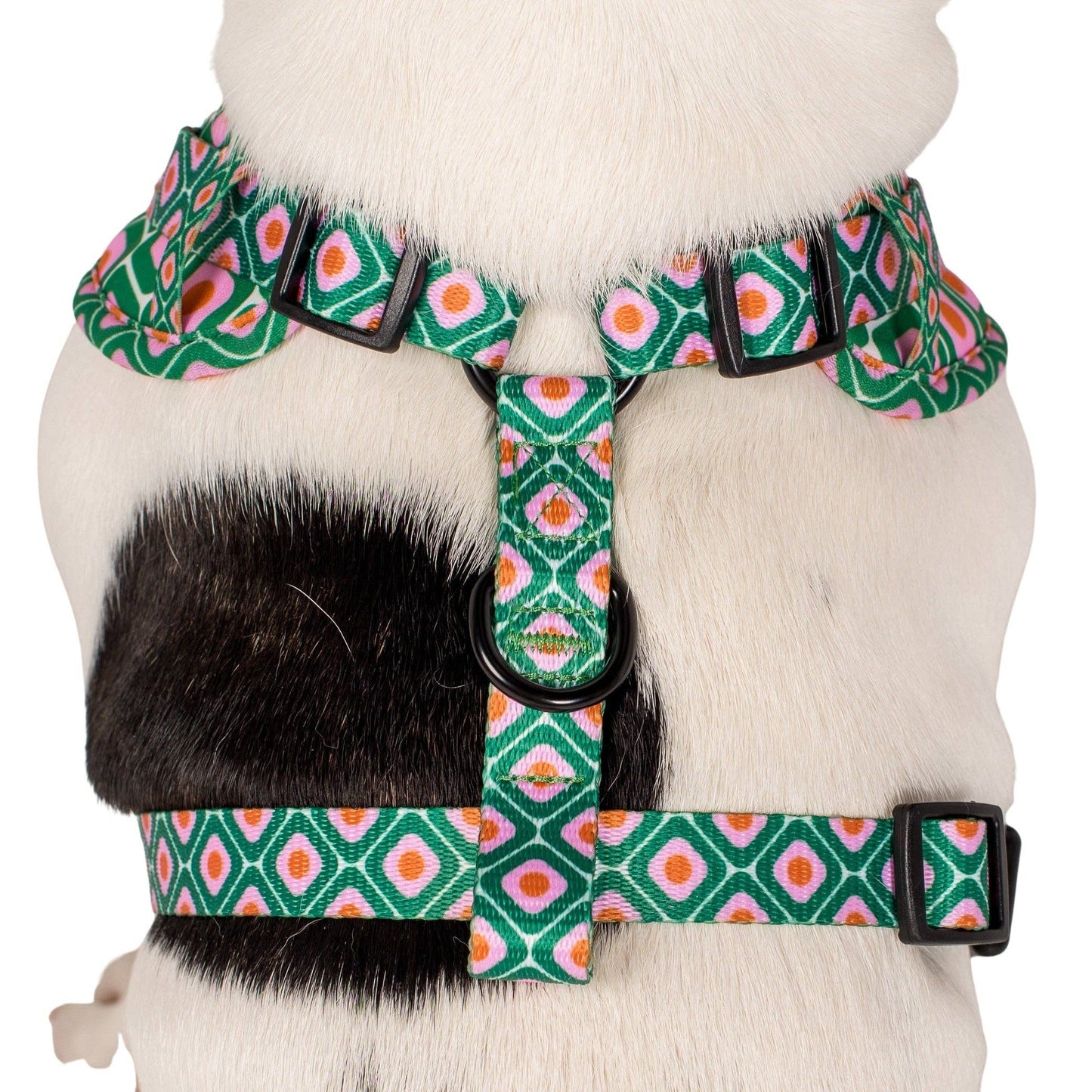 Style années 70 : harnais réglable pour chien