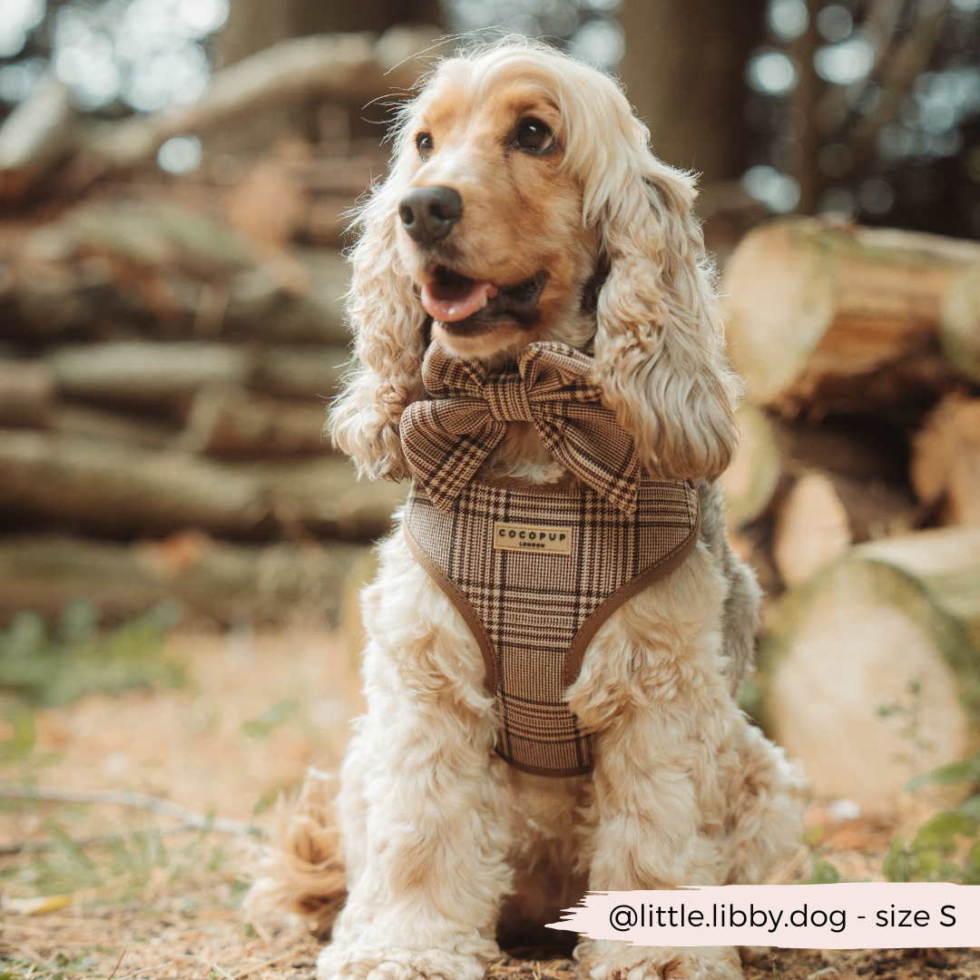 Harnais de cou réglable Pup Plaid