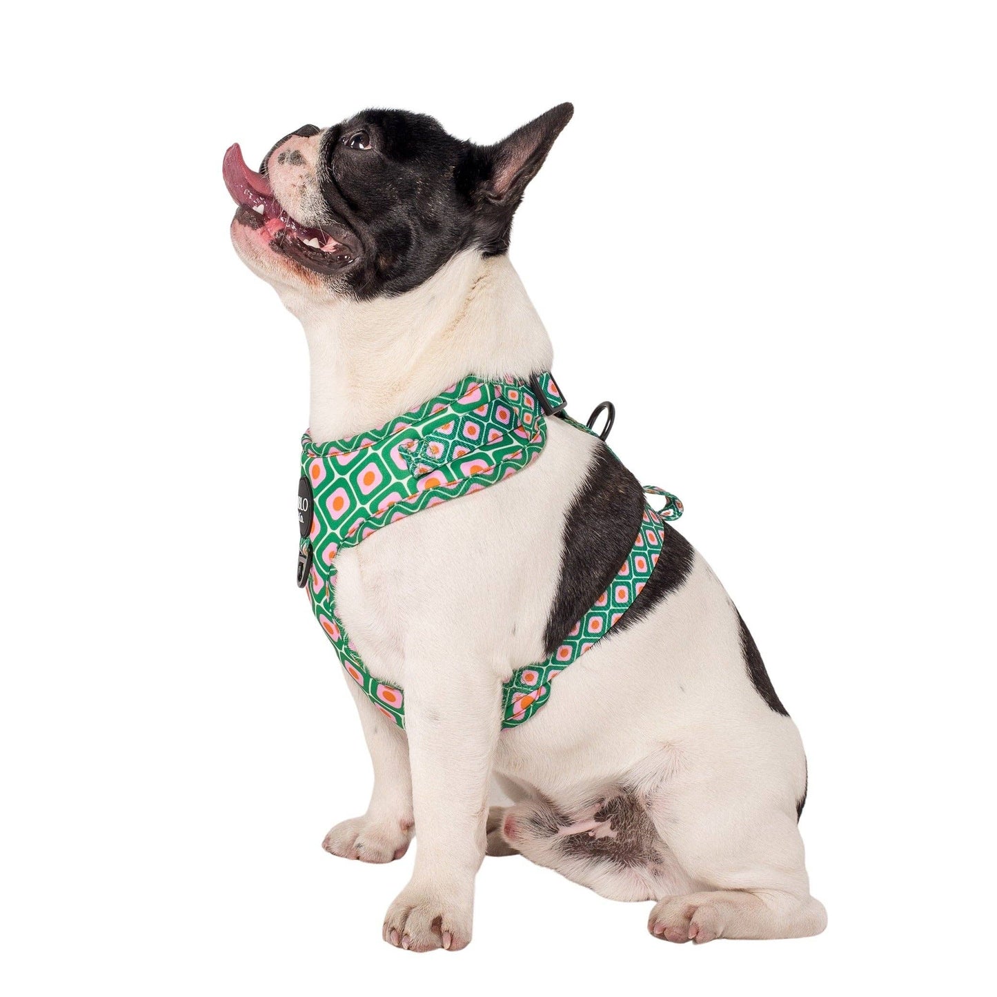 Style années 70 : harnais réglable pour chien
