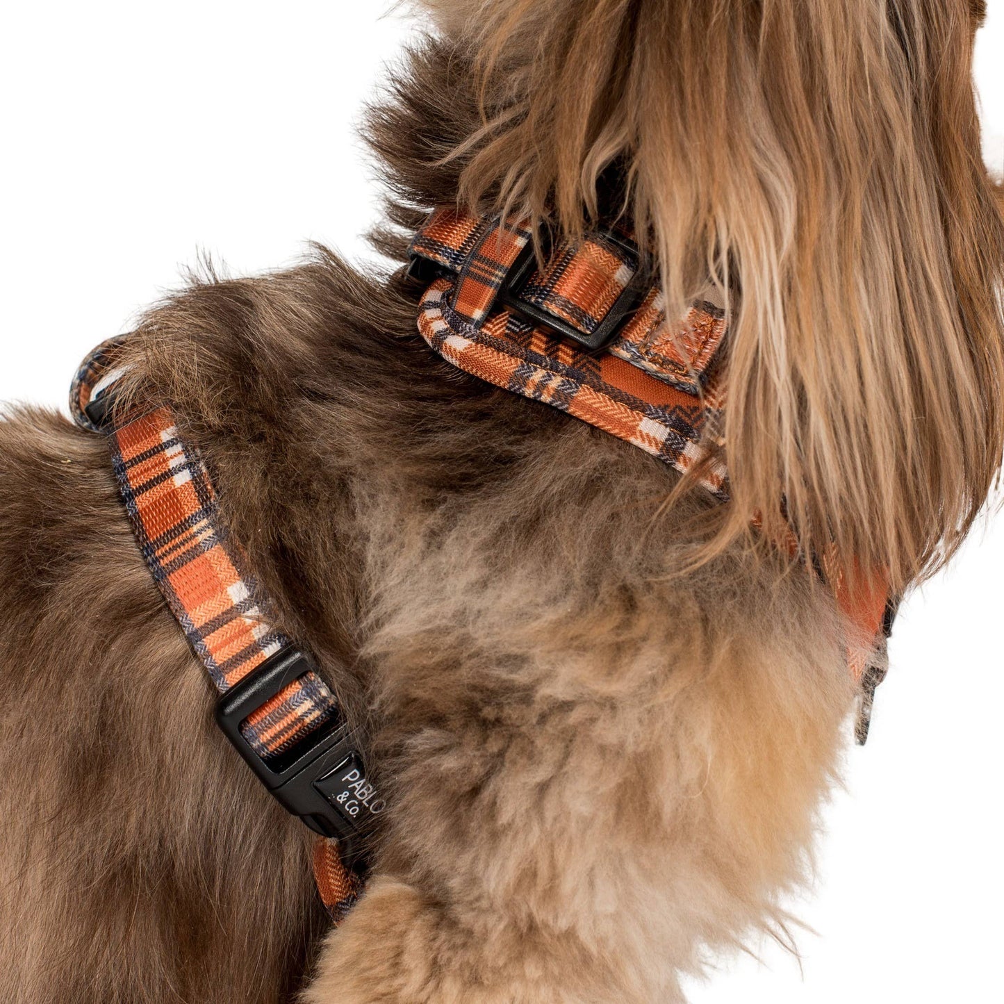 Plaid vintage : harnais réglable pour chien