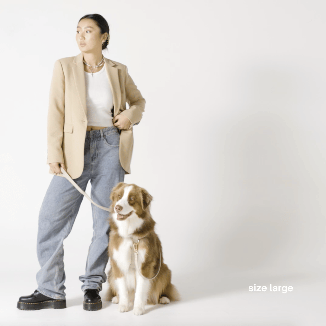 HARNAIS - Taupe