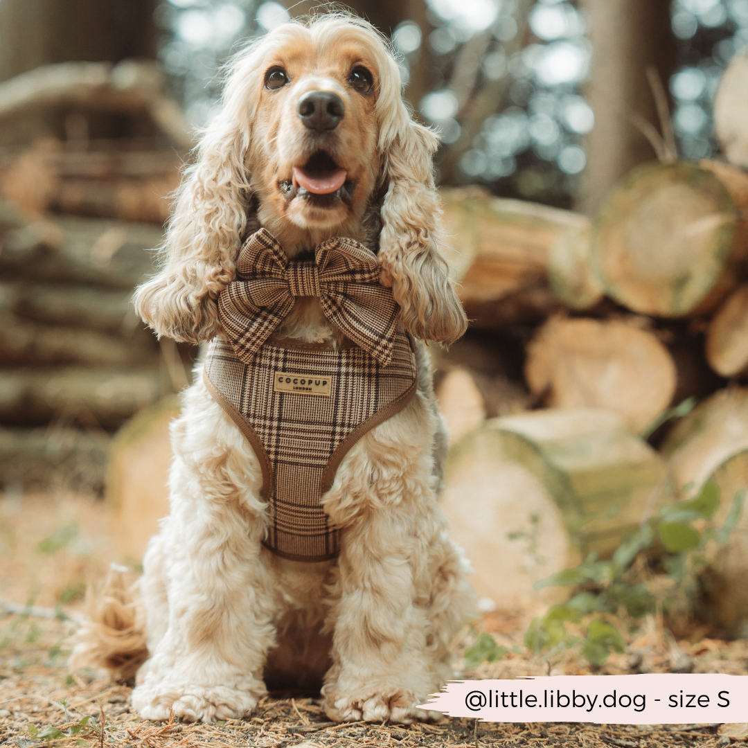 Harnais de cou réglable Pup Plaid