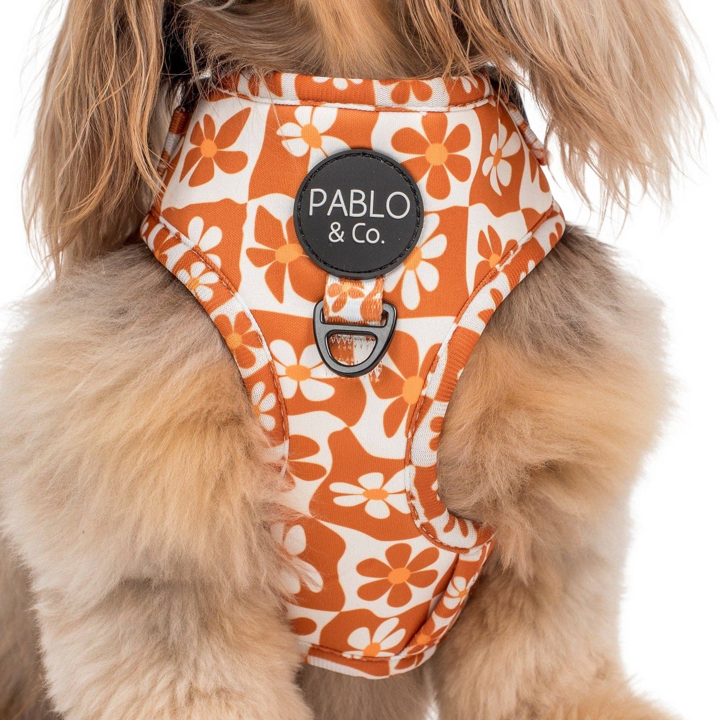 Retro Dazie : Harnais réglable pour chien