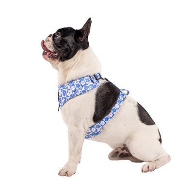Marguerites à carreaux bleus : HARNAIS RÉGLABLE POUR CHIEN