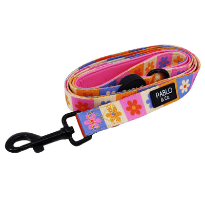 Marguerites pour les jours : laisse pour chien