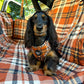 Plaid vintage : harnais réglable pour chien