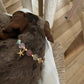 Collier de perles Calypso pour chiens et chats