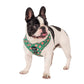 Style années 70 : harnais réglable pour chien