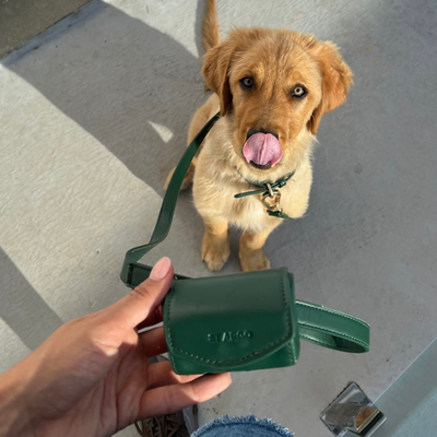 PORTE SAC À CROTTES - Vert bouteille