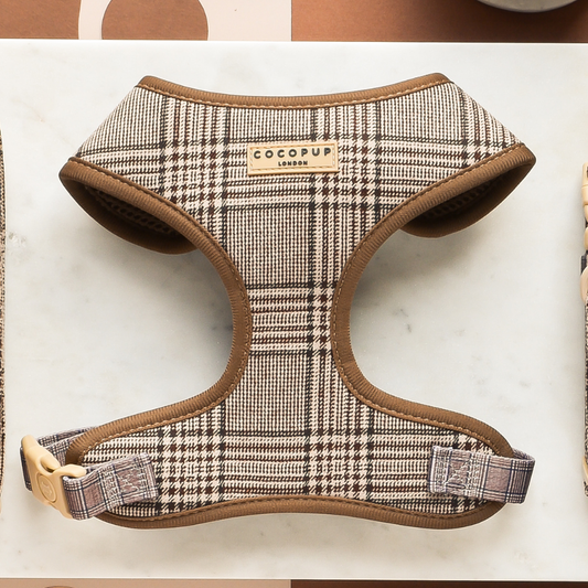 Harnais de cou réglable Pup Plaid