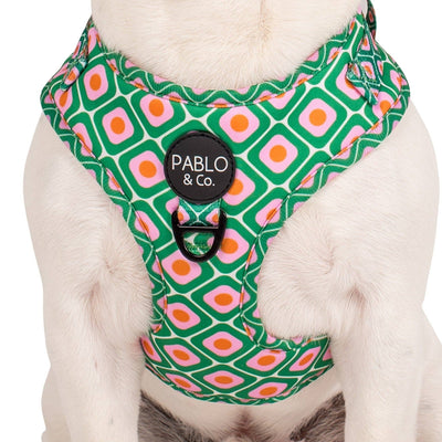 Style années 70 : harnais réglable pour chien