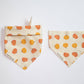 Bandana citrouilles de récolte - Bandana pour chien d'automne