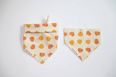 Bandana citrouilles de récolte - Bandana pour chien d'automne