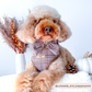 Harnais de cou réglable Pup Plaid