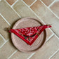 Collier bandana rouge Red Mustang pour chiens et chats