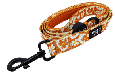 Retro Dazie : Laisse pour chien