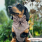 Harnais de cou réglable Pup Plaid