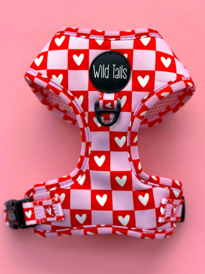 Harnais de lettres d'amour