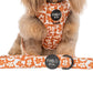 Retro Dazie : Laisse pour chien