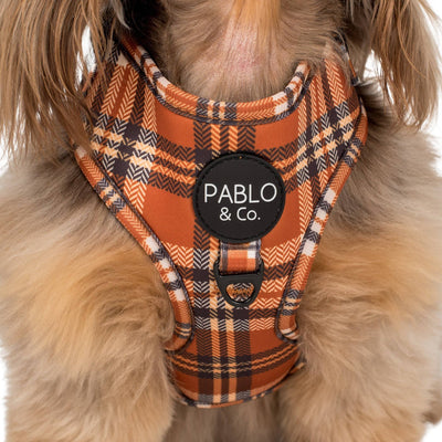 Plaid vintage : harnais réglable pour chien