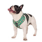Style années 70 : harnais réglable pour chien