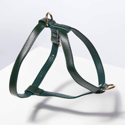 HARNAIS - Vert bouteille