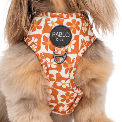 Retro Dazie : Harnais réglable pour chien