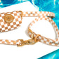 Check Me Out Waterproof Leash